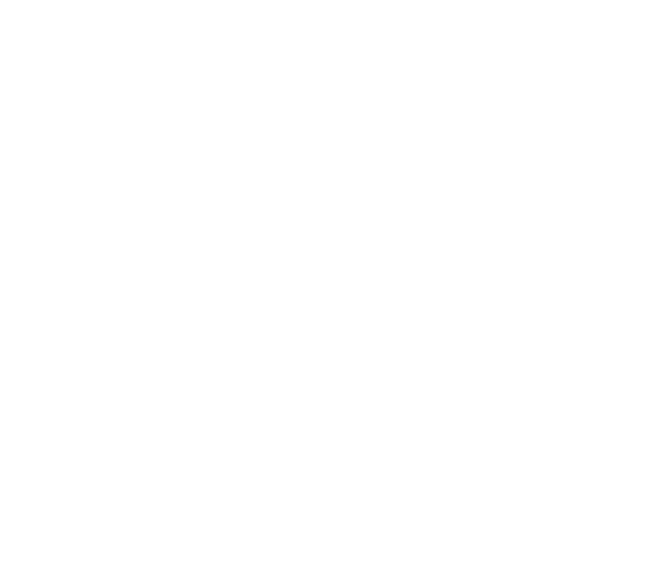 Icon Park