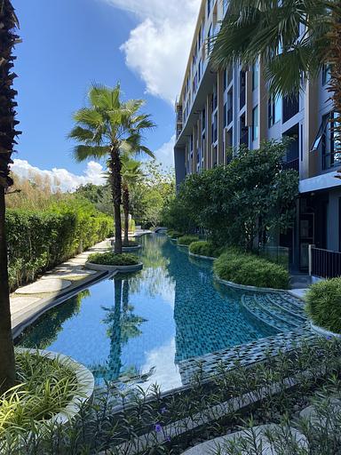 A1 313 - รูปภาพ 9