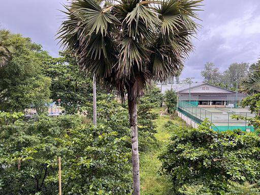 LBS 1403 - 照片 14