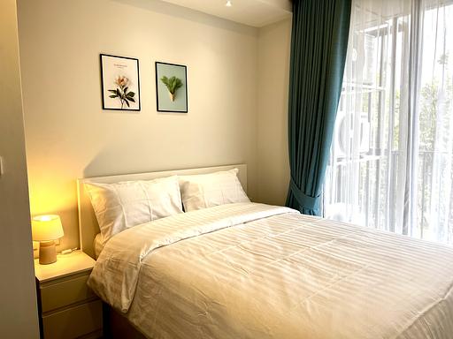 LSP 2217 - صورة 2