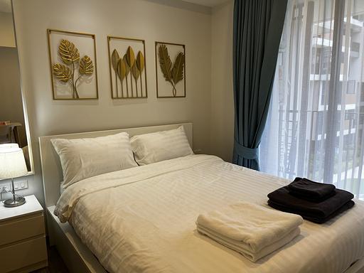 LSP 1310 - 照片 20