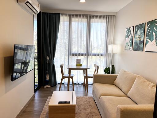 LSP 1524 - 照片 18