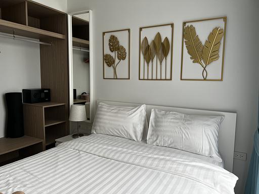 LSP 1608 - รูปภาพ 15