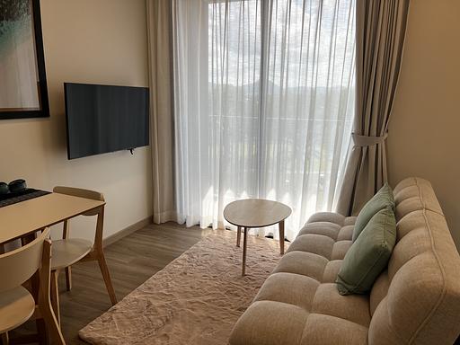 LSP 1705 - صورة 10