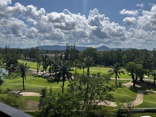 LSP 1705 - 照片 15